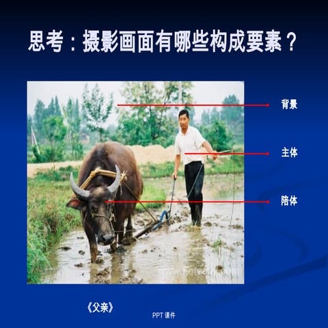 photograph skills to help people how to shoot in action