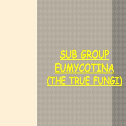 Eumycomta true fungi                      .
