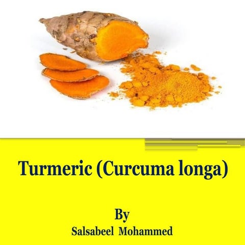 ‎⁨الكركم⁩.pptxgfdsssrffdssdrfgkkgg bbhhhhg