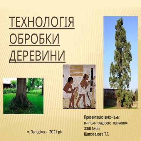 Технологія обробки деревини. Презентація..pptx