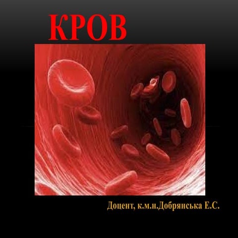 Comprehensive Overview of Human Blood Components and Functions | PPTX