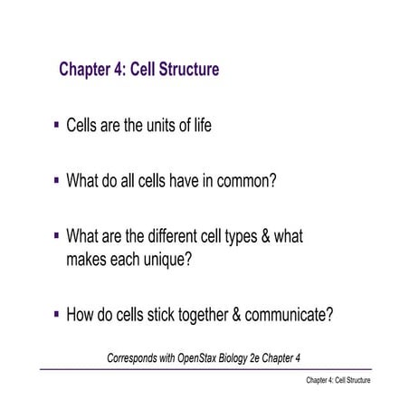 Comprehensive Overview of Cell Structure and Function in Biology | PDF