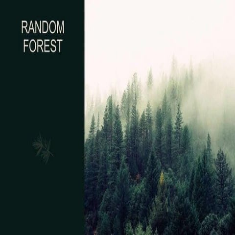 random forest a machine learning algorithm .pptx