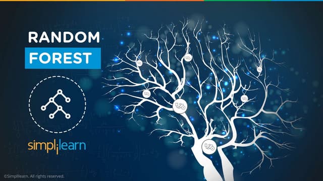 Random Forest Algorithm - Random Forest Explained | Random Forest In ...