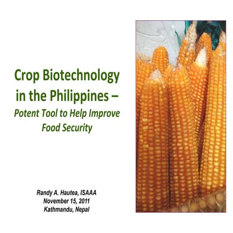 Biotechnology’s Contributions to Increased Philippine Food Security