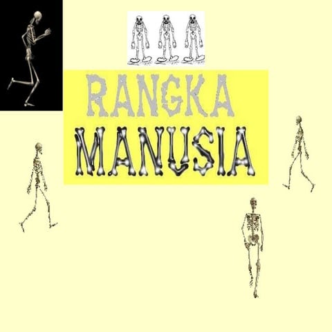 Rangka manusia