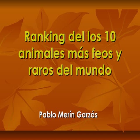 Ranking del los 10 animales más feos y raros del mundo | PPS