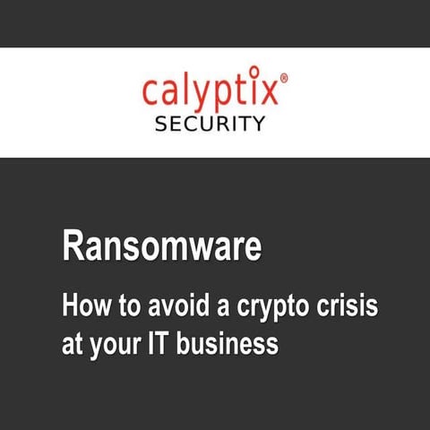 Ransomware: How to avoid a crypto crisis at your IT business