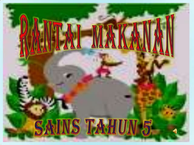 Rantai makanan