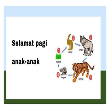 Memahami Rantai Makanan dan Jaring-Jaring Makanan dalam Ekosistem | PDF
