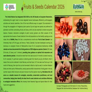presentation on the plant KUTAJA ( holarrhena antidysentrica) | PPTX