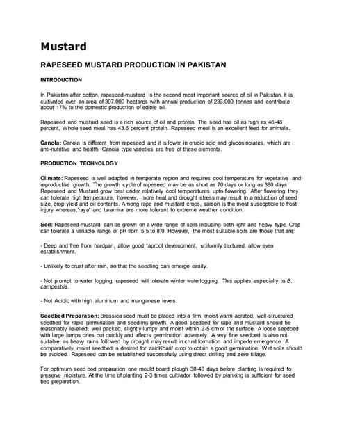 Rapeseed & Mustard ppt by Haseena Shabnam | PPTX