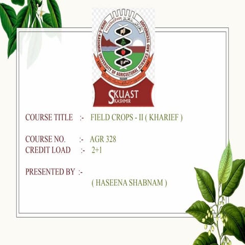 Rapeseed & Mustard ppt by Haseena Shabnam