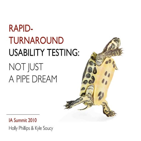 Rapid turnaround usability testing: not just a pipe dream