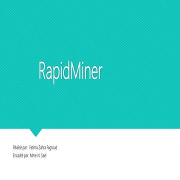 Rapid miner 