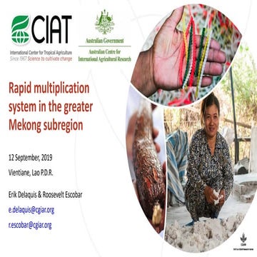 Thai Tapioca Industry - Introduction to TTSA | PDF