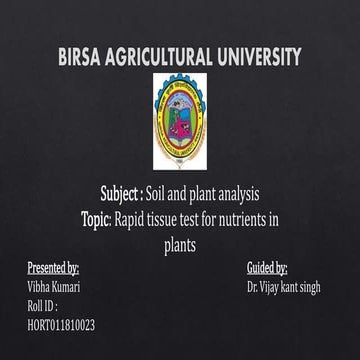 Rapid tissue test for plants