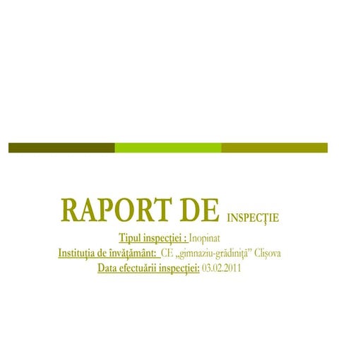 Raport de inspecţie
