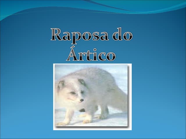 Raposa do artico_2