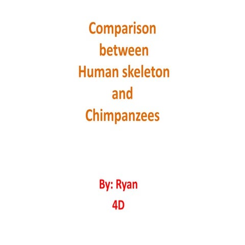 Comparison of Human and Chimpanzee Skeletons