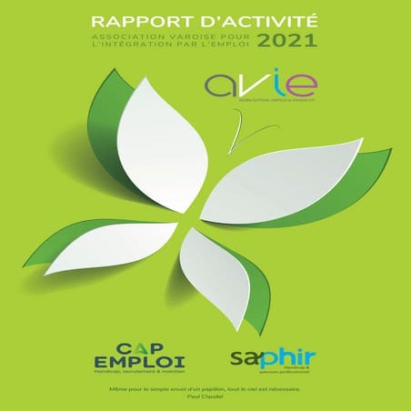 Rapport d'activité Saphir 2020 | PDF