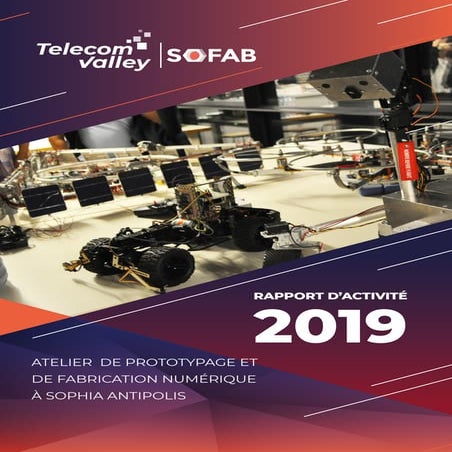 Rapport d'activité SoFAB 2019