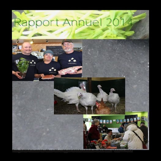 Rapport annuel 2014
