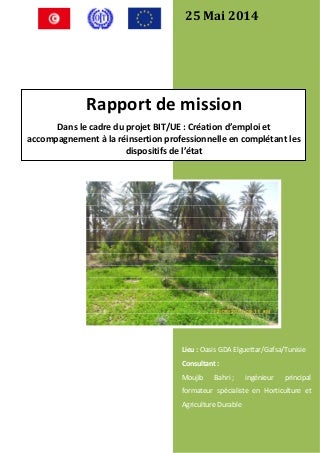 Création d'emplois et accompagnement à la réinsertion professionnelle en complétant les dispositifs de l’état. Création d'un pole de compétences en agriculture oasienne et d'une Société mutuelle de services agricoles.