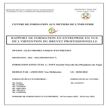 Rapport de stage en vue de l'obtention du Bac Pro CFMI | PDF
