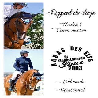 Rapport de stage Élodie Laborde