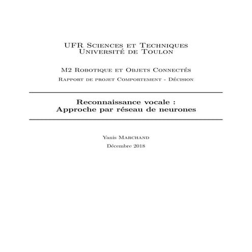 Rapport projet Master 2 - Intelligence Artificielle