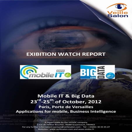IT & Big Data 2012 Report