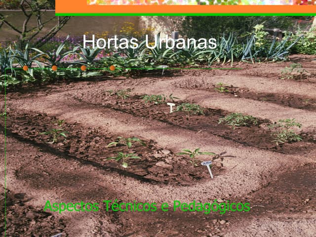 Hortas Urbanas - Hortas Sociais, Hortas Pedagógicas, Terapêuticas e de Lazer