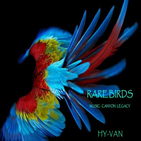 Raras fotos de aves com bela trilha sonora