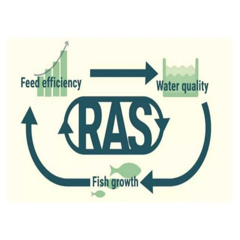 RAS.pptx introduction of Ras in Aquaculture | PPTX