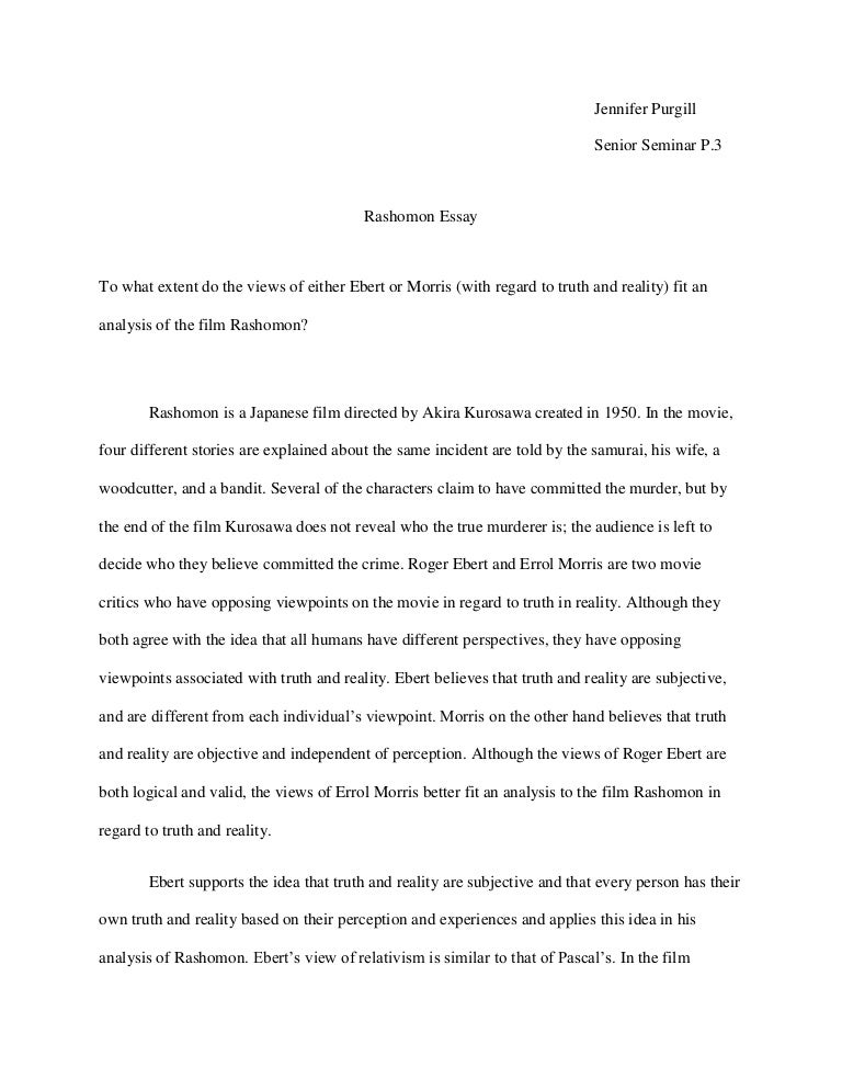 The rashomon effect summary image