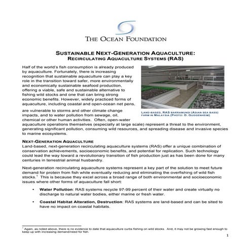 Ras minipaper--Ocean Foundation 