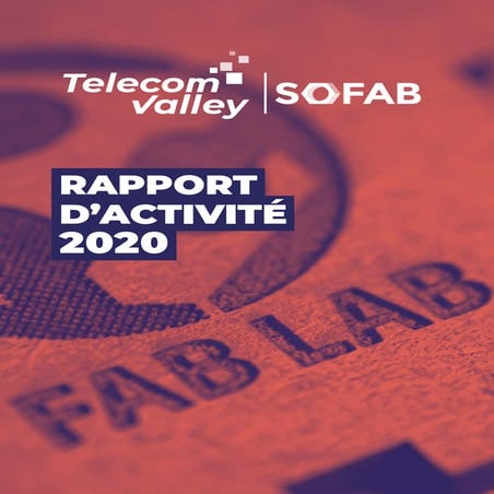 Rapport d'activité SoFAB 2020