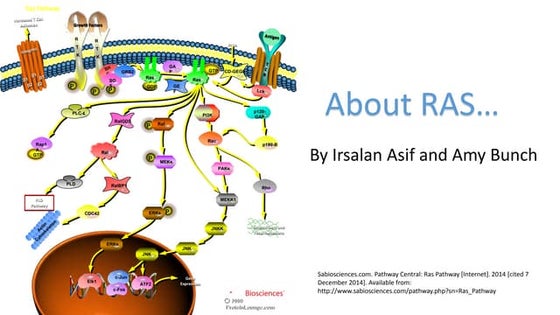 [REU] Poster Presentation | PPT