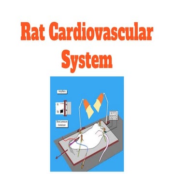 Pharmacology practical Dog BP | PPTX