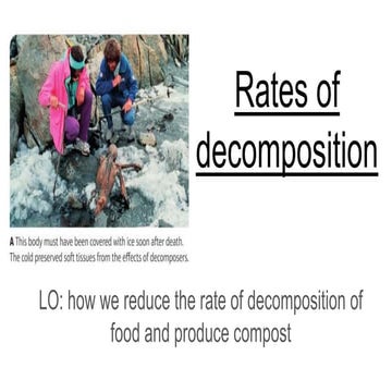 Rate of decomposition