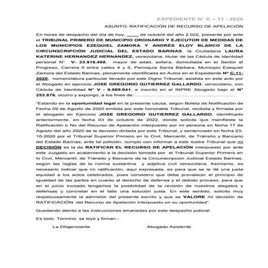 RATIFICANDO RECURSO APELACION - LAURA KATERINE.doc