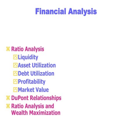 Financial Ratios and Formulas for Analysis | DOCX