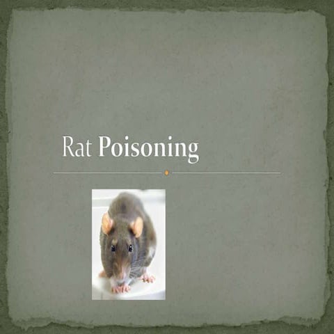 Rat poisoning management