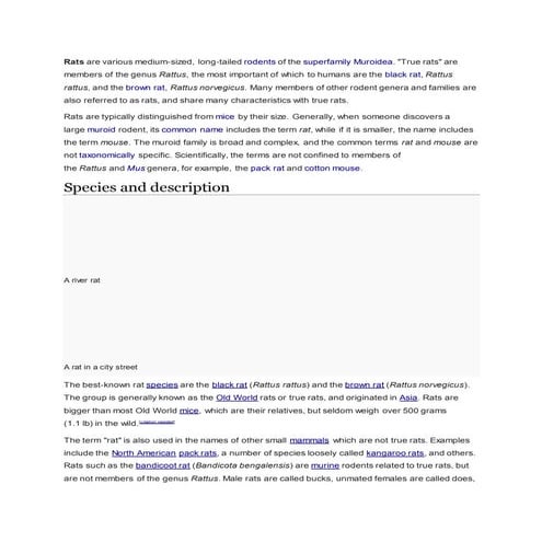 Rats