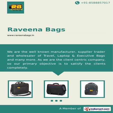 Raveena bags