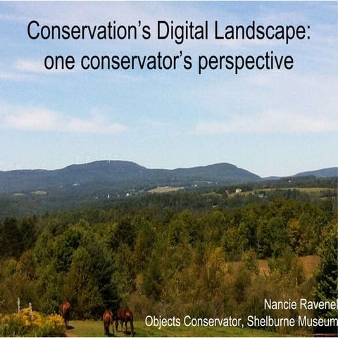 Conservation's Digital Landscape: one conservator's perspective