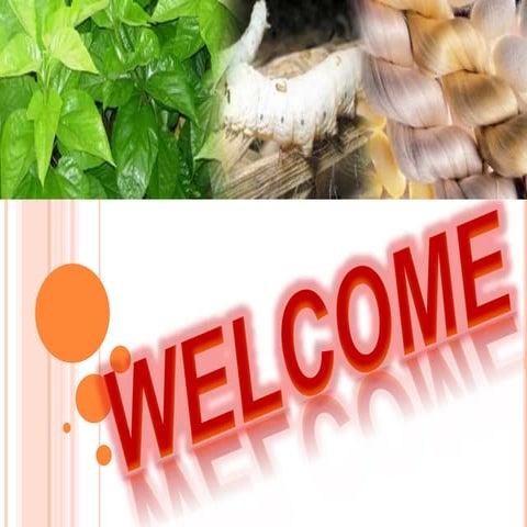 Sericulture in India