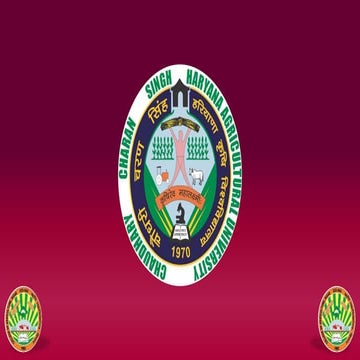 PP_502.pptxpresentation.pptxssignment seminar presentation.pptx