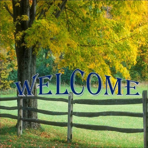 Major Insect-pests of solanaceous crop (tomato & potato) and their management